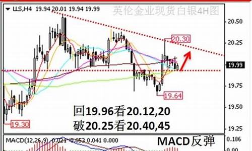 白银td模拟_2013现货白银模拟比赛